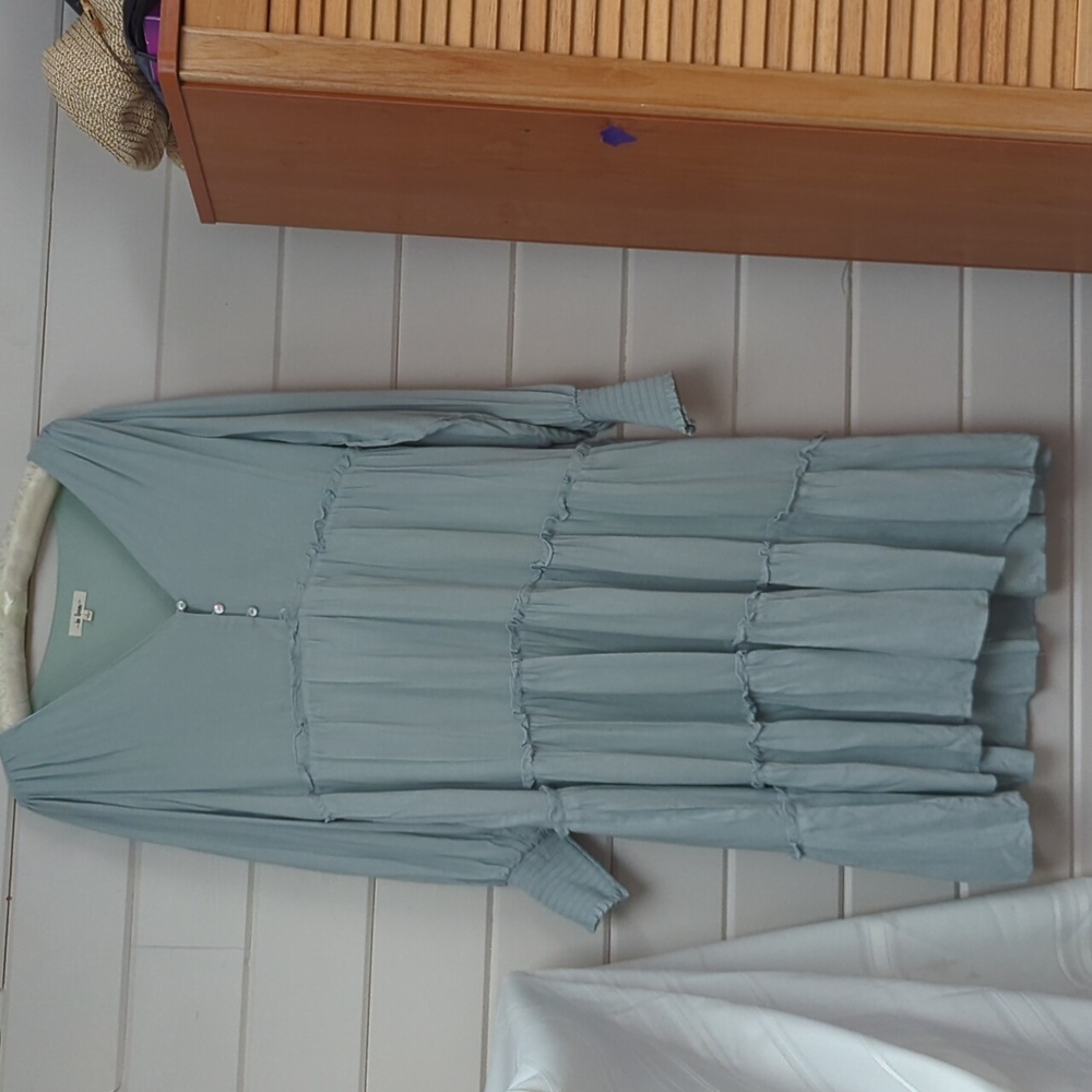 Long sleeve, lined, light green dress size L